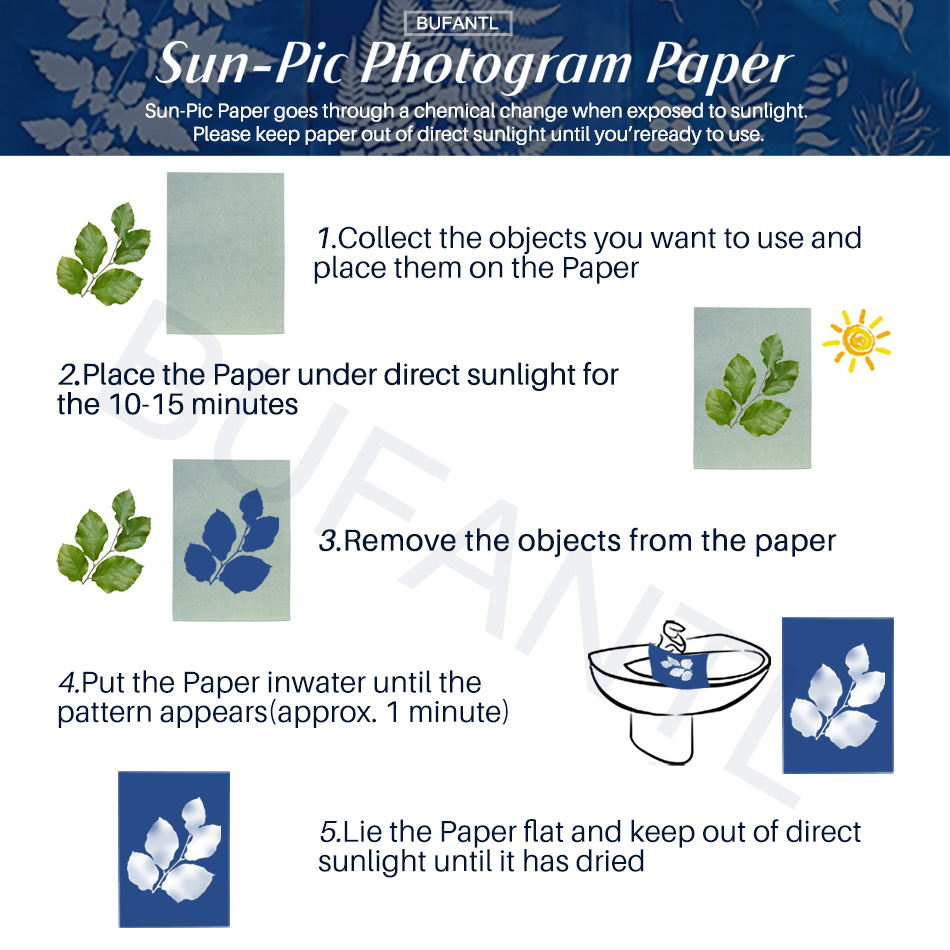 Cyanotype Paper 12 Sheets Refi - Lighting In Photography For Beginners 리뷰 및 가격